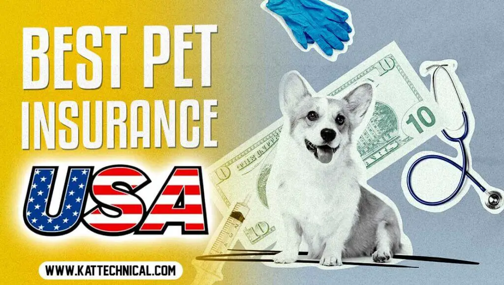 The Best Pet Insurance Companies In The USA For 2023 | Kat Technical