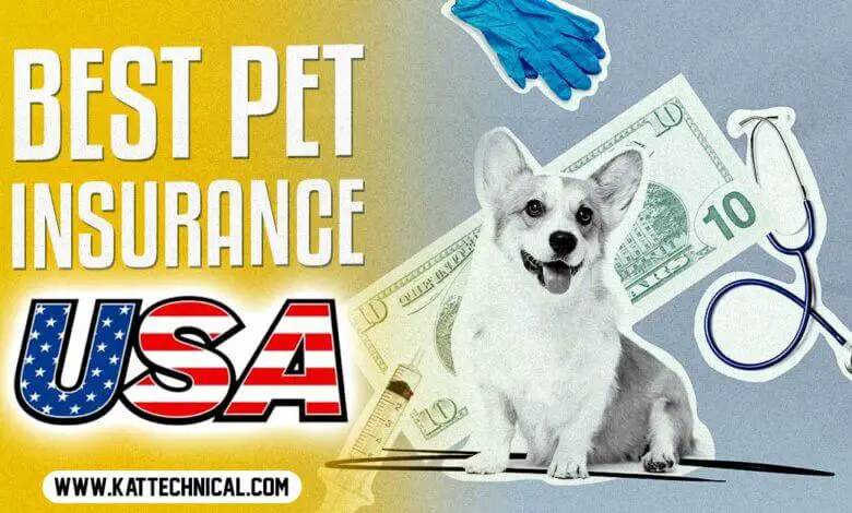 The Best Pet Insurance Companies in the USA for 2023 