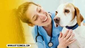 The Best Pet Insurance Companies in the USA for 2023 