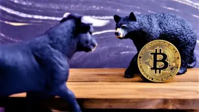 Bear Market Basics Where Investors Put Their Money in a Bear Market