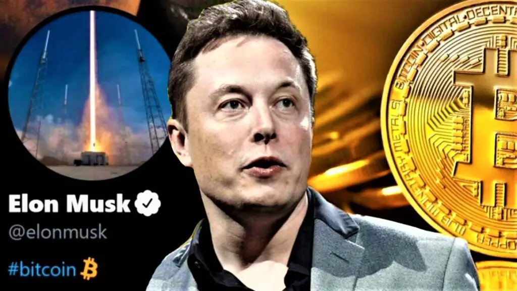 Cryptocurrency By Elon Musk