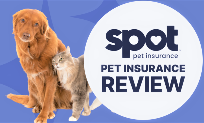 Spot Pet Insurance Providing Peace of Mind Through Comprehensive Coverage
