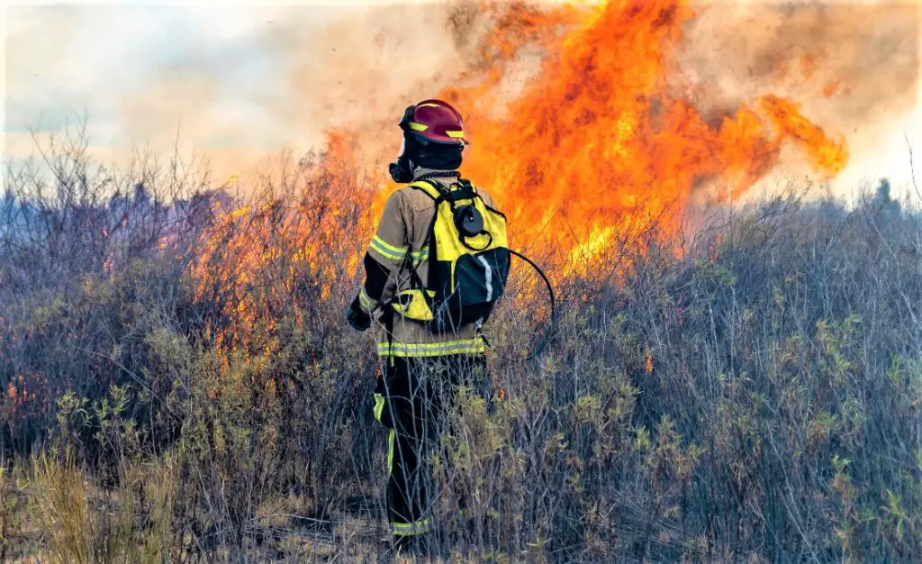 What To Know About Wildfire Insurance-Kat Technical