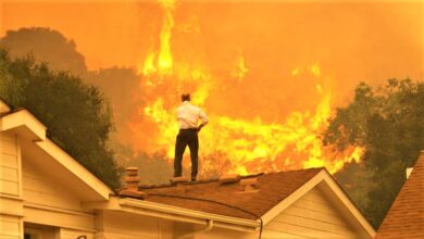 What To Know About Wildfire Insurance-Kat Technical