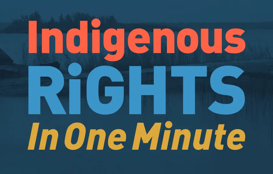 Empowering Indigenous Peoples United Nations' Commitment to Self-Determination and Indigenous Rights