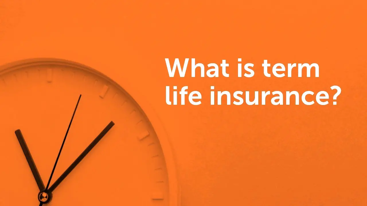 Term Life Insurance A Comprehensive Guide Kat Technical 6474