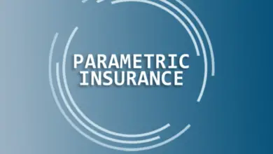 The Power of Parametric Insurance Redefining Risk Management