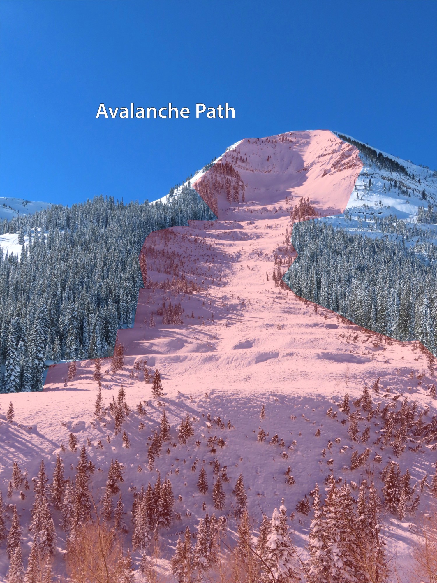 Unlocking the Power of Avalanche: A Comprehensive Guide