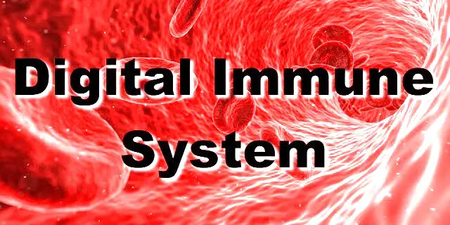 What Is a Digital Immune System and Why Does It Matter?