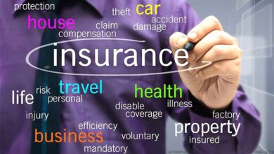 Cultivating Wealth The Ingenious Revenue Strategies of Insurance Companies