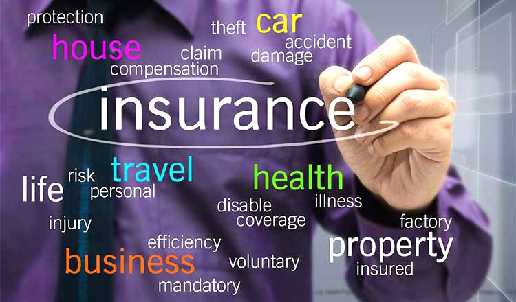 Cultivating Wealth The Ingenious Revenue Strategies of Insurance Companies