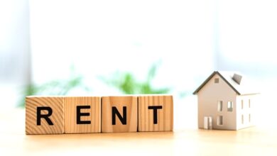 Maximize Your Rental Property's Potential A Comprehensive Guide