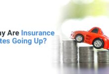 The Cost of Coverage: Exploring the Surge in Insurance Rates