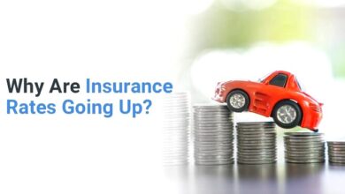 The Cost of Coverage: Exploring the Surge in Insurance Rates