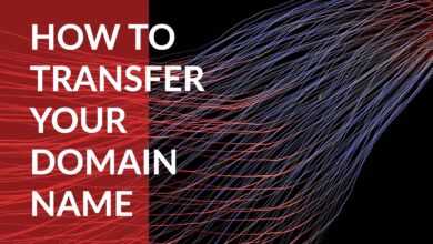 The Ultimate Guide to Domain Transfer How and Why to Do It