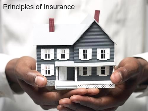 Decoding Insurance The Five Key Concepts You Need to Know