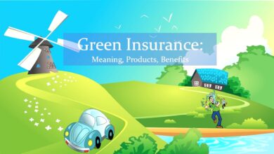 Green Insurance Protecting the Environment and Your Assets