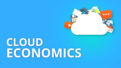 The Economics of Cloud Storage Cost Management and Optimization