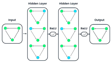 Applications of Graph Neural Networks (GNNs)