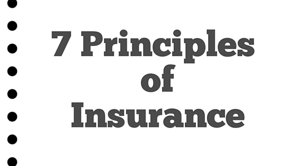 What are the 7 principles of insurance?-Kat Technical