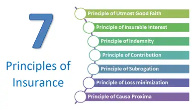 What are the 7 principles of insurance?-Kat Technical