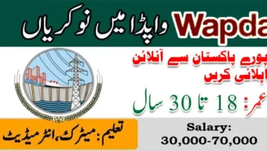 WAPDA Pakistan Jobs 2024 April | Wapda Latest Jobs 2024