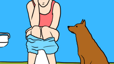 Why Dogs Follow You Into the Bathroom