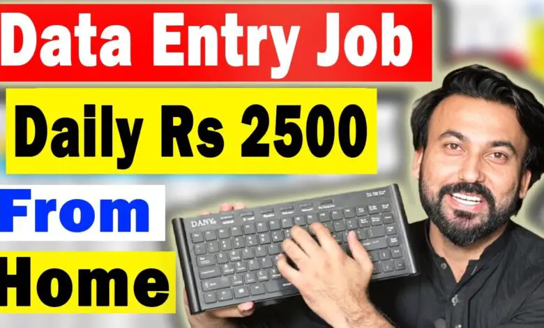 How to Earn Money from Data Entry Job Work from Home 2025