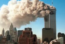 Revealing Facts About 911 What You Should Know