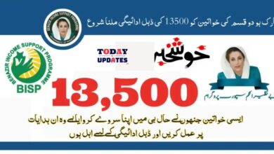 Benazir Kafalat Program: Steps for Newly Surveyed Women to Receive 13,500 PKR Double Payment