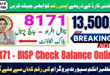 BISP Check Balance Online By CNIC 13500: A Complete Guide