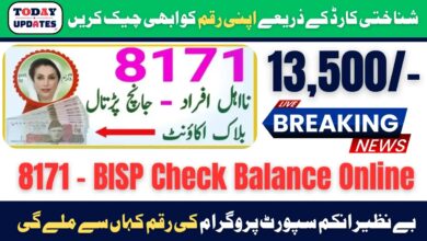 BISP Check Balance Online By CNIC 13500 and Get Immediate Results