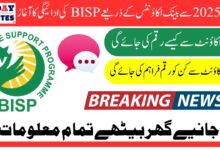 BISP Launches Instant Payment Withdrawal Service Through Bank Accounts in January 2025