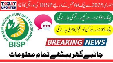 BISP Launch Instant Payment Widrawal Service Through Bank Accounts In January 2025