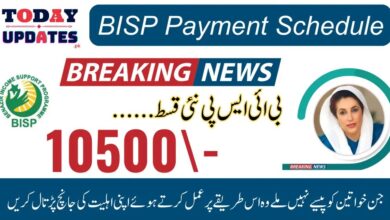 Latest BISP Payment Schedule 2025: Key Dates and Updates