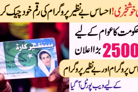 Benazir Income Support Program