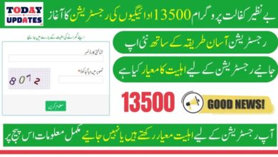 Benazir Kafalat Program 13500 Payments Registration with Easy Method in 2025 New Update