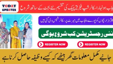 Punjab Honhaar Scholarship Phase 2: Cheque Distributions Begin with Increased Budget 2025