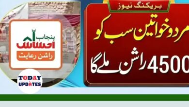 How to Check Ehsaas Rashan Program Online Using CNIC and Receive Free Rashan from the Government