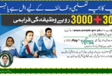 Benazir Taleemi Wazaif Check Online January Payment 9000