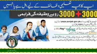 Benazir Taleemi Wazaif Check Online January Payment 9000