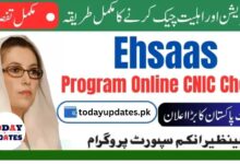 Step-by-Step Guide to Checking Ehsaas Program 10500 Payment via CNIC on Online Web Portal