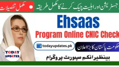 Step-by-Step Guide to Checking Ehsaas Program 10500 Payment via CNIC on Online Web Portal