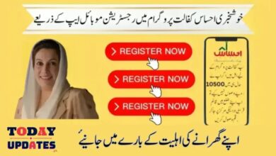 Government of Pakistan Launches Ehsaas Program App for Online Registration