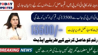 Chairperson Rubina Khalid Explain Who Can Get BISP 13500 In January 2025 Eligibility Status Updated