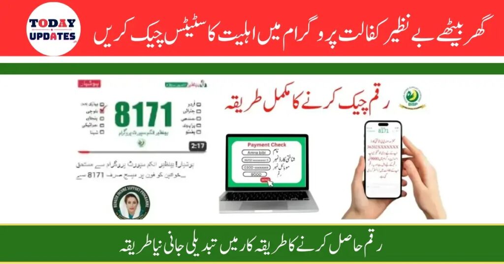 Check Balance Online Through 8171 Web Portal on www.bisp.gov.pk – 2025 Update