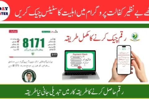 Check Balance Online Through 8171 Web Portal on www.bisp.gov.pk – 2025 Update